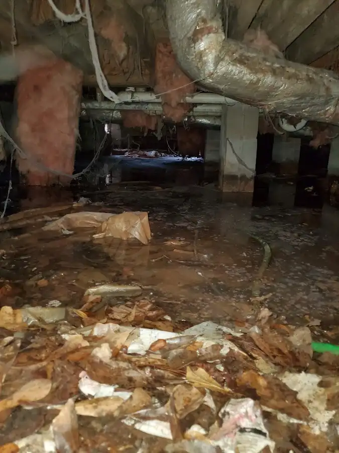 Crawl space flood assessment for Commercial Water Damage Restoration in Leonardtown